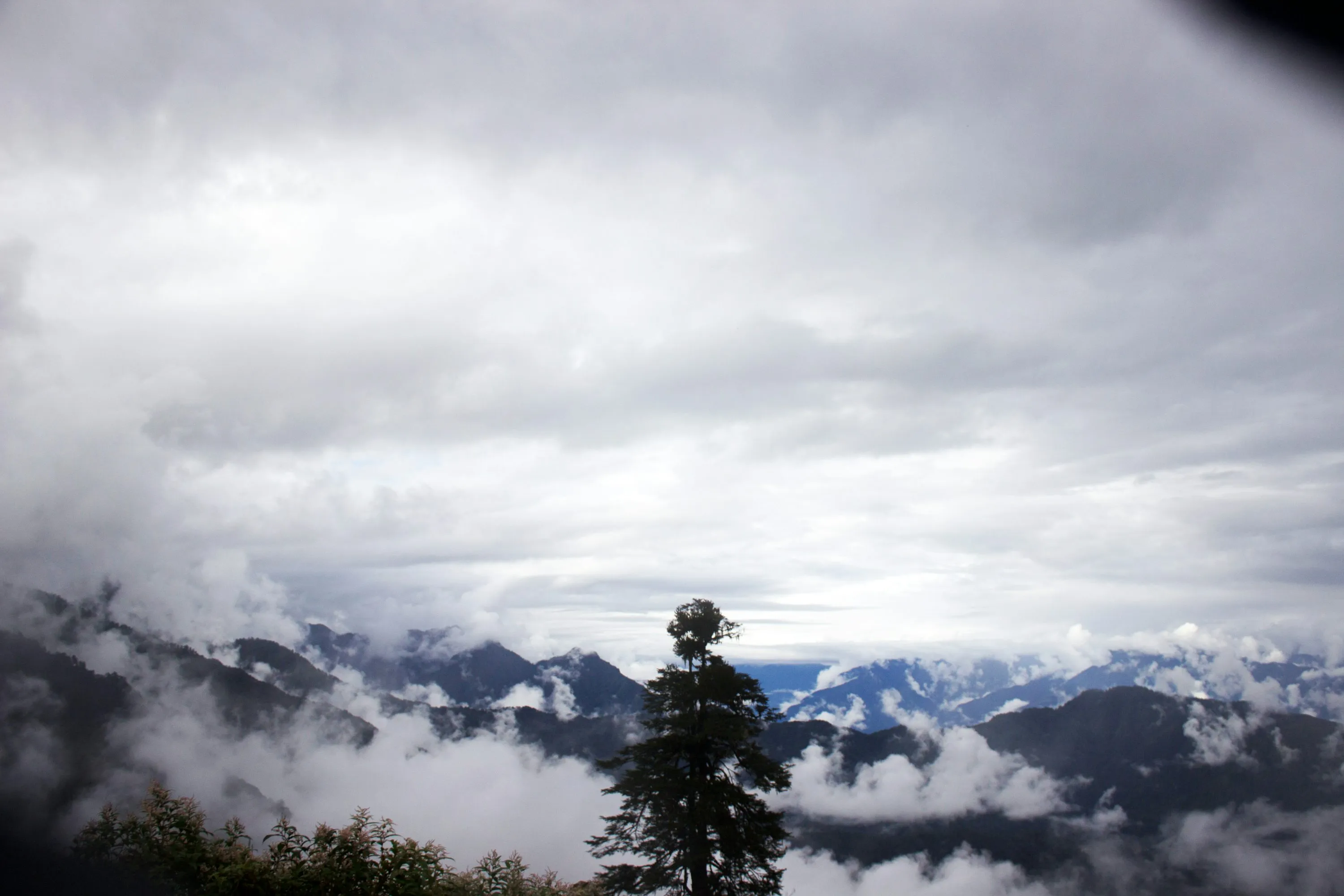 How to Travel to Bhutan from DR Congo (2026): A Complete Guide to Visa, SDF, Flights, & Itineraries