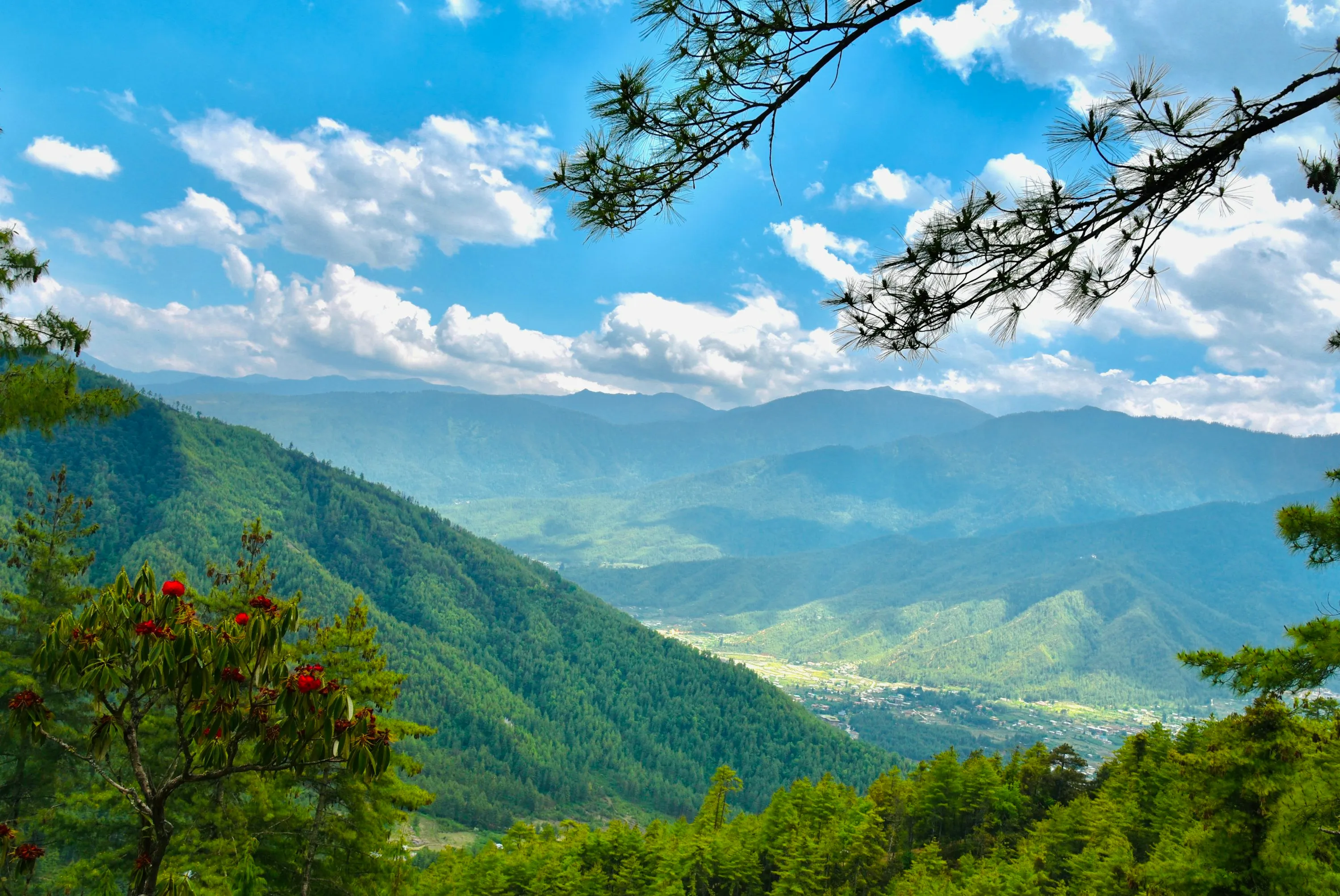 How to Travel to Bhutan from Marshall Islands (2026): A Complete Guide to Visa, SDF, Flights, & Itineraries