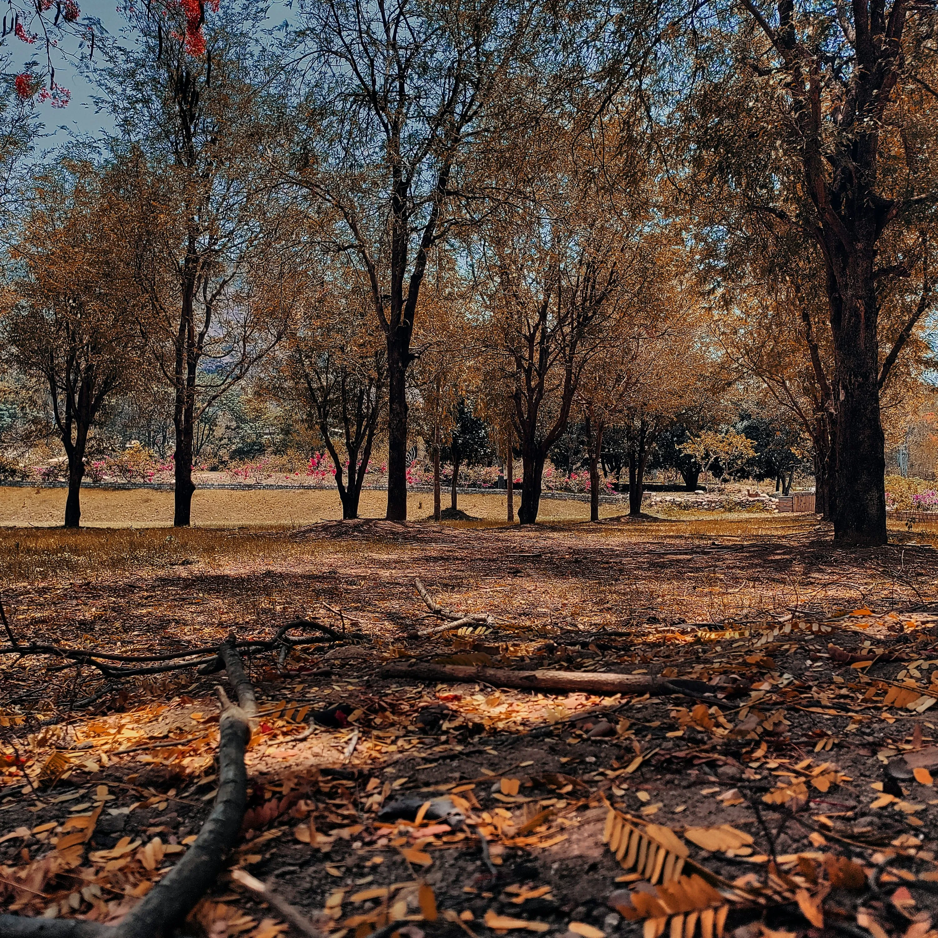 How to Travel to Bhutan from Liberia (2026): A Complete Guide to Visa, SDF, Flights, & Itineraries