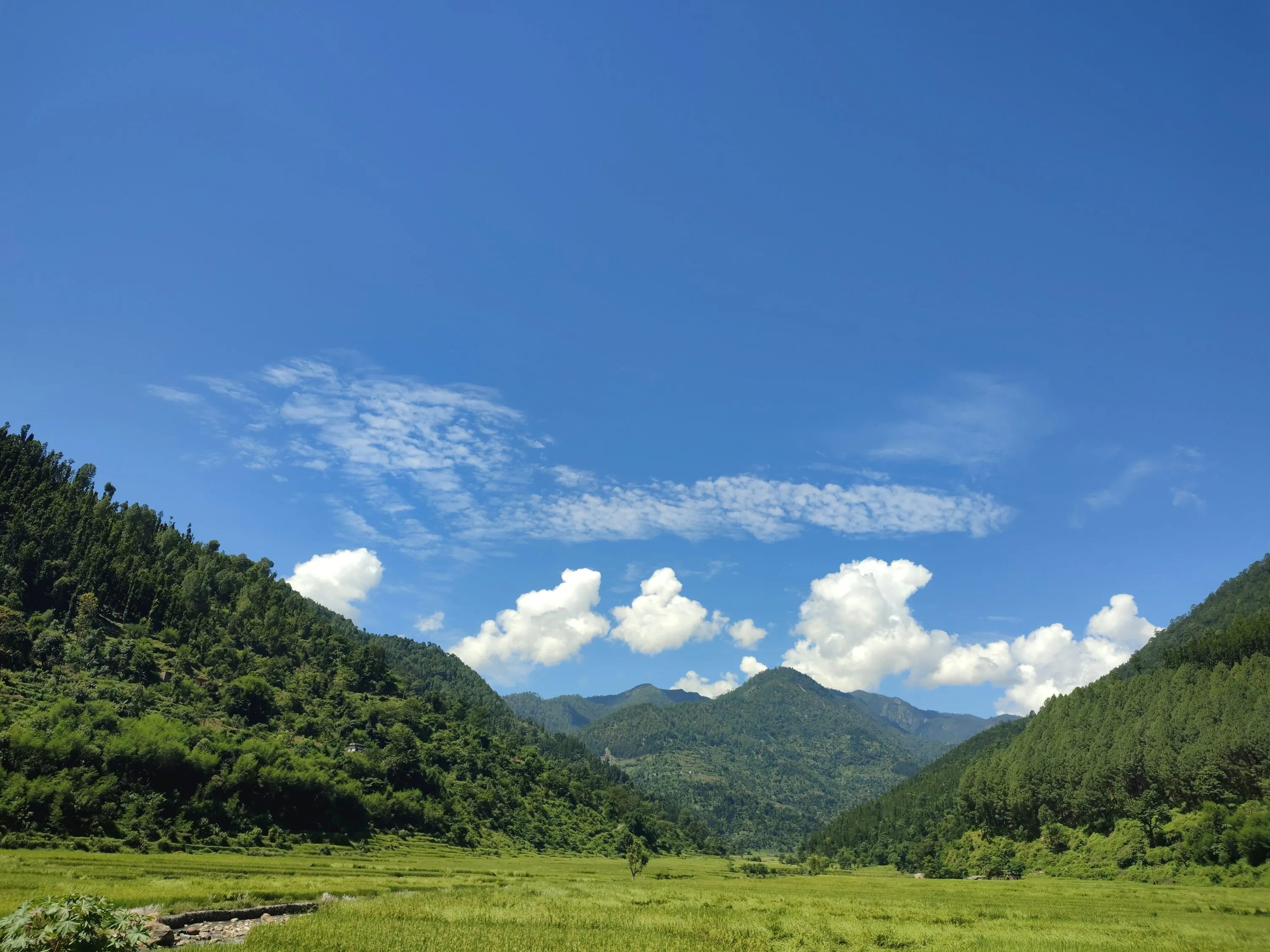 How to Travel to Bhutan from Turkmenistan (2026): A Complete Guide to Visa, SDF, Flights, & Itineraries