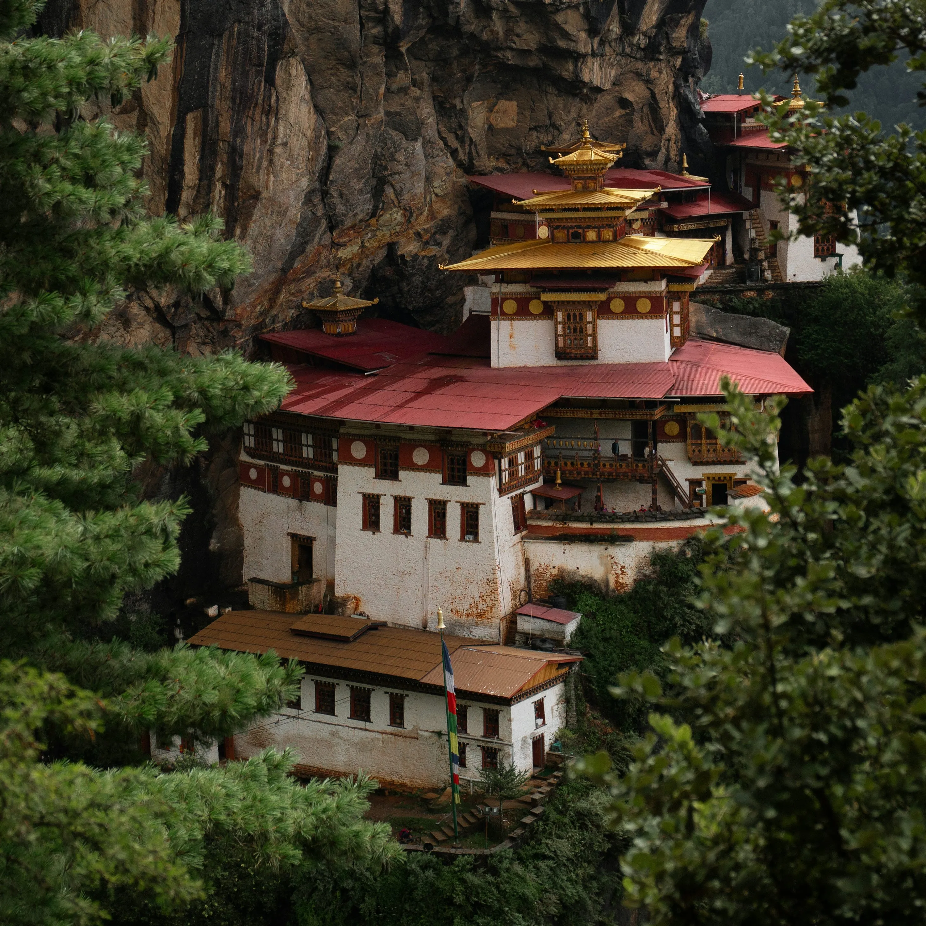 How to Travel to Bhutan from Chad (2026): A Complete Guide to Visa, SDF, Flights, & Itineraries