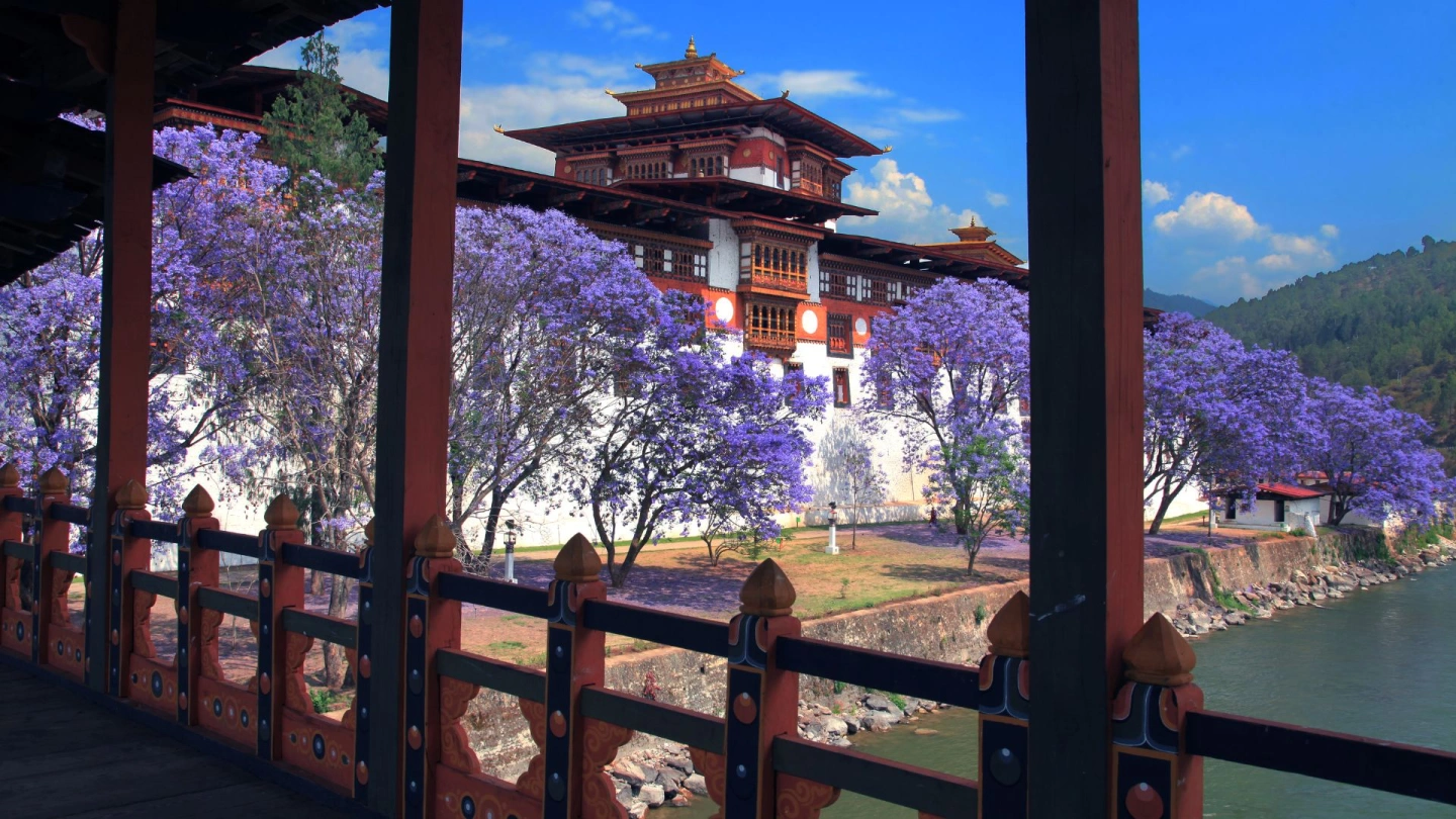 How to Travel to Bhutan from Australia (2026): A Complete Guide to Visa, SDF, Flights, & Itineraries